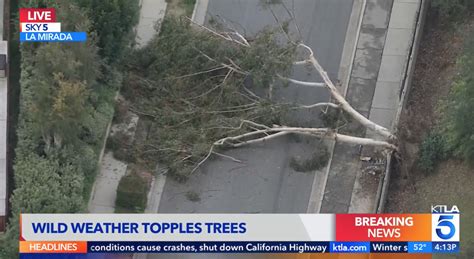 SoCal tornado: Trees knocked down in La Mirada as tornadic .